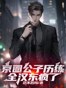 刺客姐姐回来了，京城要变天封面