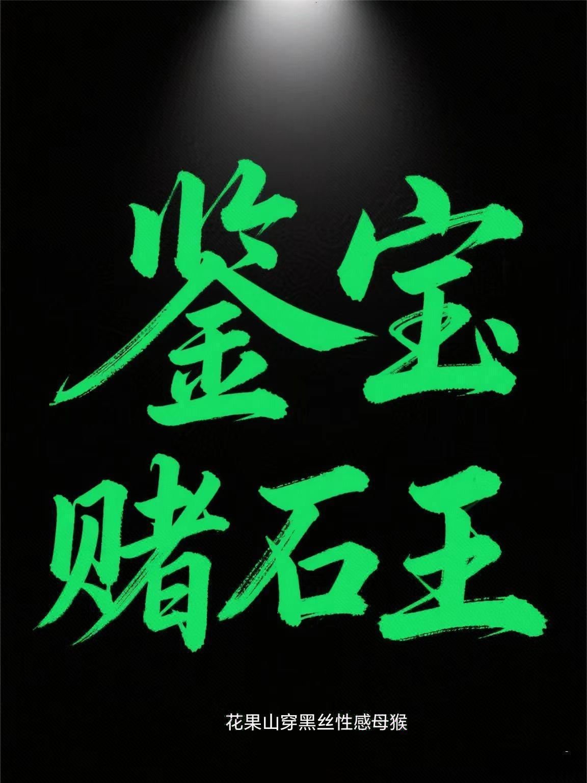 我靠穿越二次元升级找妹妹封面